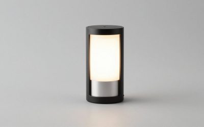 Best Solar Pathway Lights for Safer Walkways